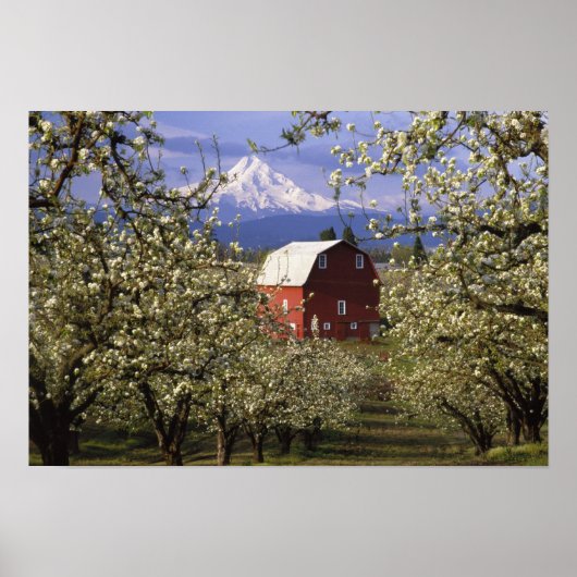 Poster N.A., États-Unis, Oregon, comté de Hood River. Red (Devant)