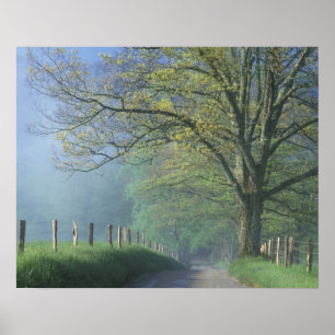 Poster N.A., États-Unis, Tennessee, Parc national des Smo