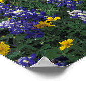 Poster N.A, États-Unis, Texas, Marble Falls, Blue Bonnets (Coin)