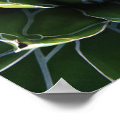 Poster N.A., USA, Arizona, Tucson, Sonora Desert (Coin)