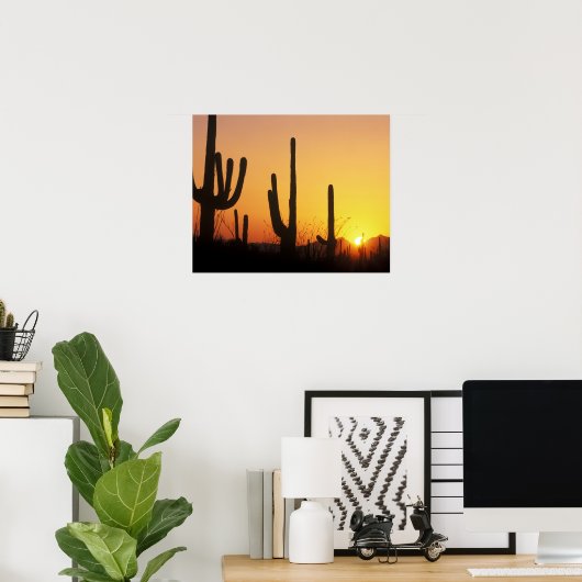 Poster N.A., USA, AZ, Saguaro NP, Saguaro Sunset (Bureau à domicile)