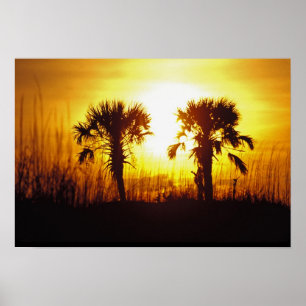 Poster N.A., USA, Caroline du Sud, Charleston. Coucher du