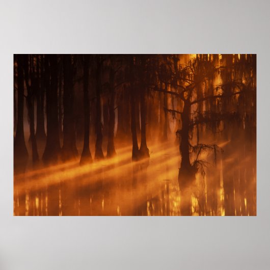 Poster N.A., USA, Géorgie, Parc d'état George Smith. (Devant)