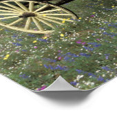 Poster N.A., USA, Texas, Devine, Old wagon et (Coin)