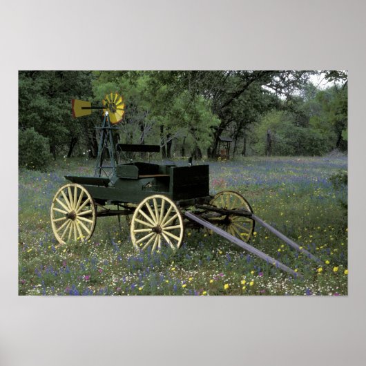 Poster N.A., USA, Texas, Devine, Old wagon et (Devant)