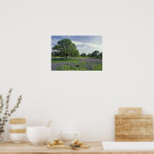 Poster N.A., USA, Texas, Lac Buchanan, Chênes et Bleus (Cuisine)