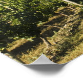 Poster NA; Canada; Colombie-Britannique; vallée de l'Okan (Coin)