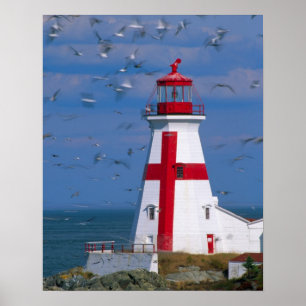 Poster NA, Canada, Nouveau-Brunswick, île Campobello. 8