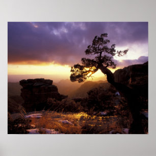 Poster NA, États-Unis, Arizona, Tucson, Coucher de soleil