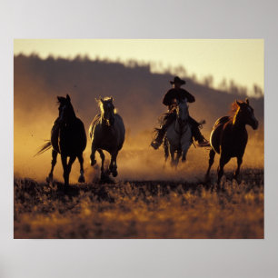Poster NA, États-Unis, Oregon, Seneca, Ponderosa Ranch, C