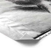 Poster NA fol.5 Joachim du Bellay (Coin)