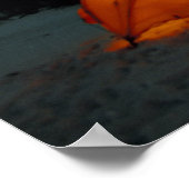 Poster NA, USA, Alaska, Brooks Range. Rideaux verts (Coin)