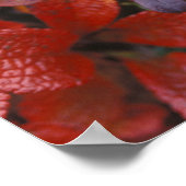 Poster NA, USA, Alaska. Le Parc national de Denali. Bearb (Coin)