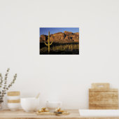 Poster NA, USA, Arizona. Organ Pipe Cactus National 2 (Cuisine)