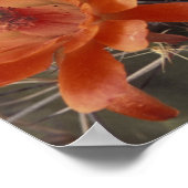 Poster NA, USA, Arizona, San Xavier. Cactus de la Coupe C (Coin)