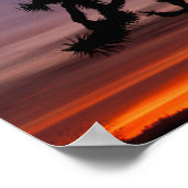 Poster NA, USA, Californie. Joshua Tree National (Coin)
