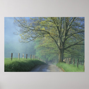 Poster NA, USA, Tennessee, Cades Cove, Super Smoke