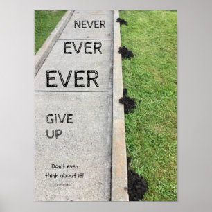 Poster N'Abandonne Jamais.