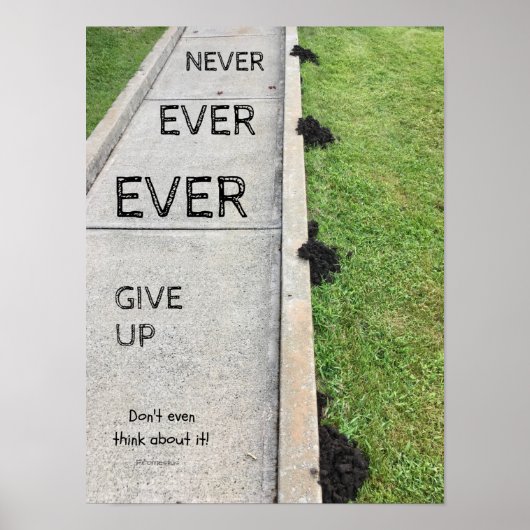 Poster N'Abandonne Jamais. (Devant)