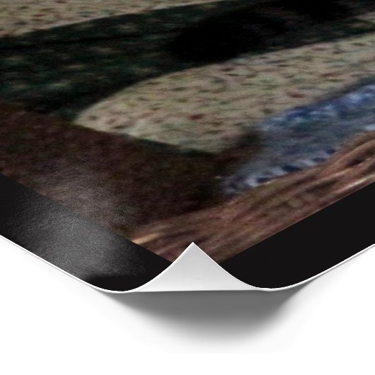 Poster N'abandonnez jamais - Chat chasse souris (Coin)