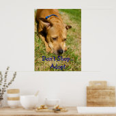 Poster N'achetez pas...Adoptez (Cuisine)