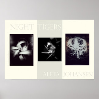 Poster nachttijgers (22,5 x 15 inch)