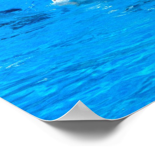 Poster Nage avec cinq dauphins en Espagne (Coin)