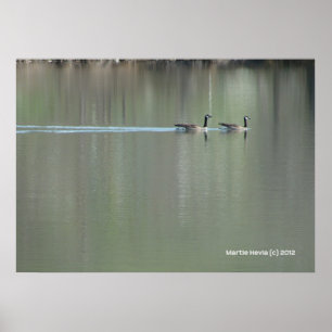 Poster Nage d'amour