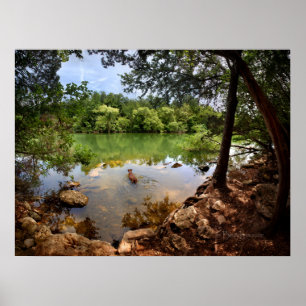 Poster Nage de chien Ladybird Lake 2 - Austin Texas