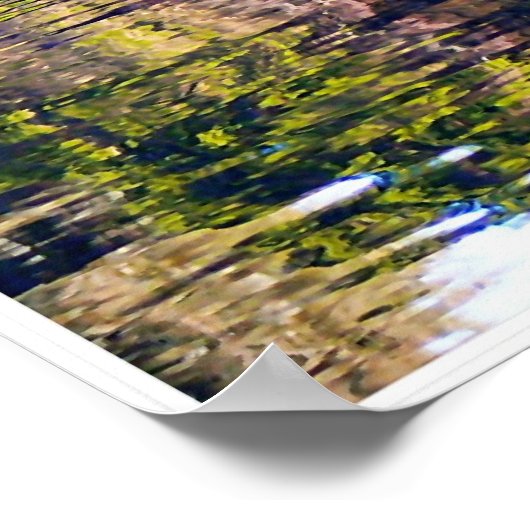 Poster nage de couleur (Coin)