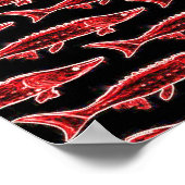 Poster nage d'esturgeon rouge (Coin)