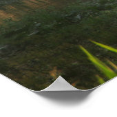 Poster Nage matinale (Coin)