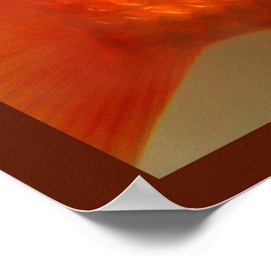 Poster Nager Avec Les Fishies (Coin)