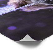 Poster Nager Golden Retriever (Coin)