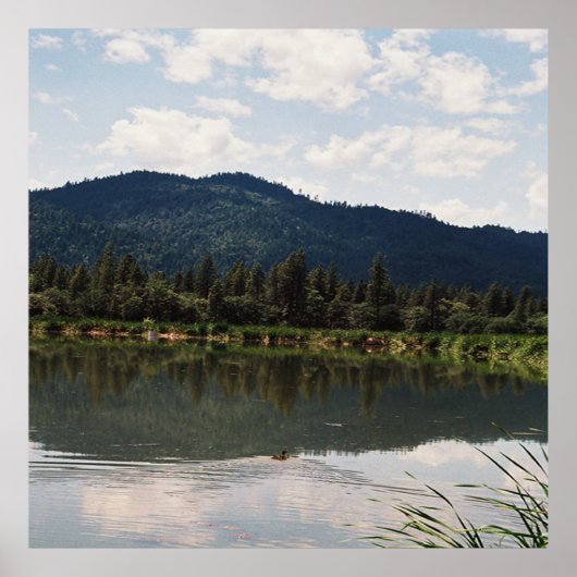 Poster Nager seul..... (Devant)