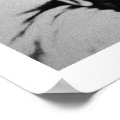 Poster Naiche (d.1874) Chef des Apaches de Chiricahua (Coin)