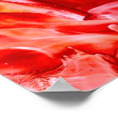 Poster naissance (Coin)