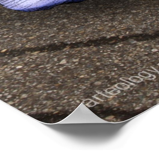 POSTER NAISSANCE BLEU (Coin)