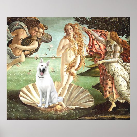 Poster Naissance de Vénus - Berger blanc allemand (Devant)