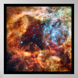 Poster Naissance des étoiles Nébuleuse de la Tarentule Bo