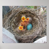 Poster Naissance du printemps (Devant)