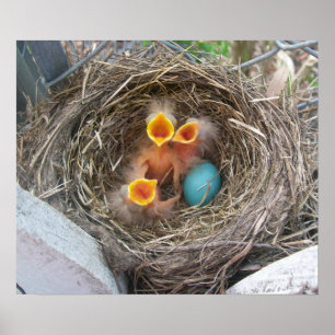 Poster Naissance du printemps