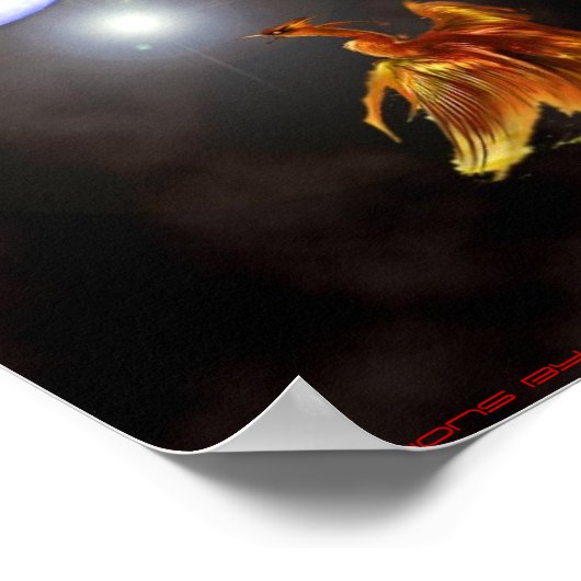 Poster Naissance d'un phénix (Coin)