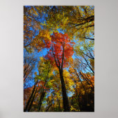 Poster najaar (Voorkant)