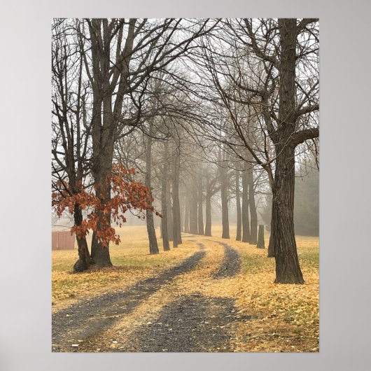Poster najaarbomen (Voorkant)