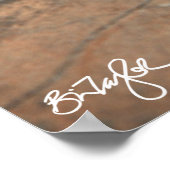 Poster Namib Day Gecko (Bradfield) (Coin)