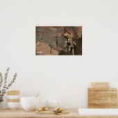 Poster Namib Day Gecko (Bradfield) (Cuisine)