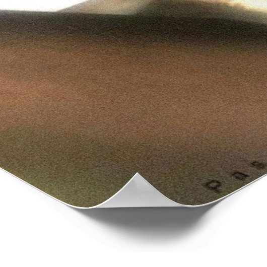 Poster nanacier (Coin)