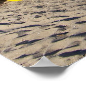 Poster Nantucket Kayaks (Coin)