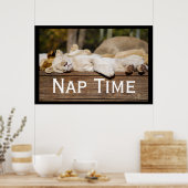 Poster Nap Time Lion Cubs Afrique du Sud (Cuisine)